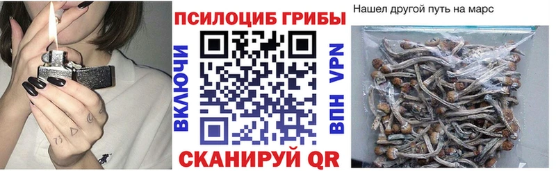 Купить  Приозерск  Псилоцибиновые грибы мухоморы 